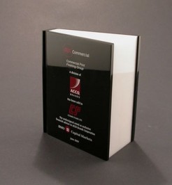 Custom shaped education book recognition school award