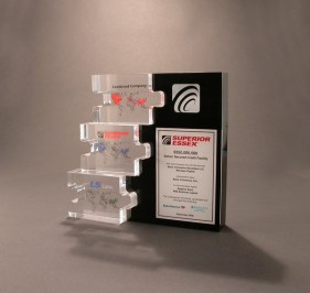 Custom shape Lucite interactive puzzle award gift