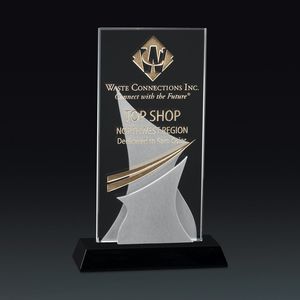 Awards, Crystal award, trophy, gift for recognition