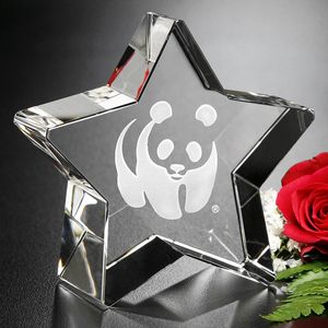 Crystal, Paper Weights award, trophy, gift for recognition