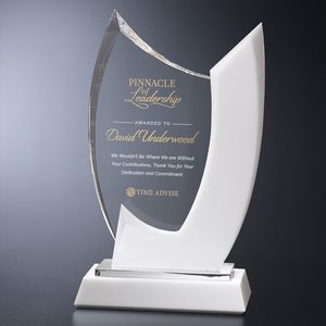 Crystal award, trophy, gift for recognition