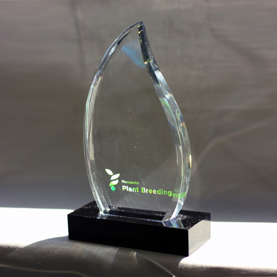 Custom flame shaped bespoke award with colorful logo