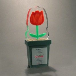 Lucite recognition flower pot shaped trophy or award or gift