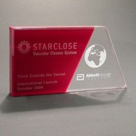 Lucite slanted side recognition award