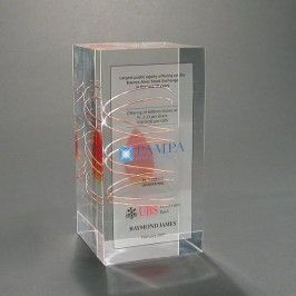 clear tall rectangle Lucite award embedment