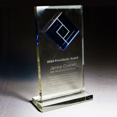 Custom crystal award trophy