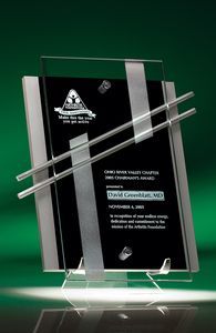 Removable Stand, Rectangular, Transparent, Metallic Accent, Vertical, Achievement, Recognition, Self Standing