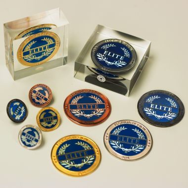 Medallions embedded within Lucite award