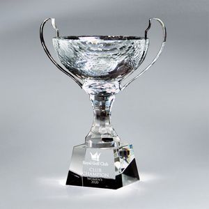 crystal trophy, award trophy, crystal award, Award Ceremony, Award collection, Award display, Award of Excellence