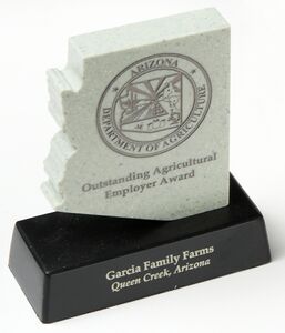 Award, Recognition, Achievement, Stone, Corporate Mission Statement, Message, Rectangle, State, USA, Desk