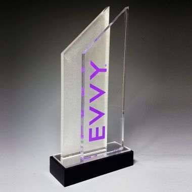 Clear and frosted Lucite Envy award trophy