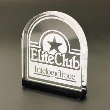 Custom shaped Lucite trophy or award with embedment