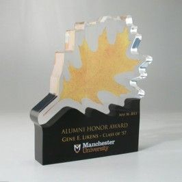 Lucite leaf shape recognition award 