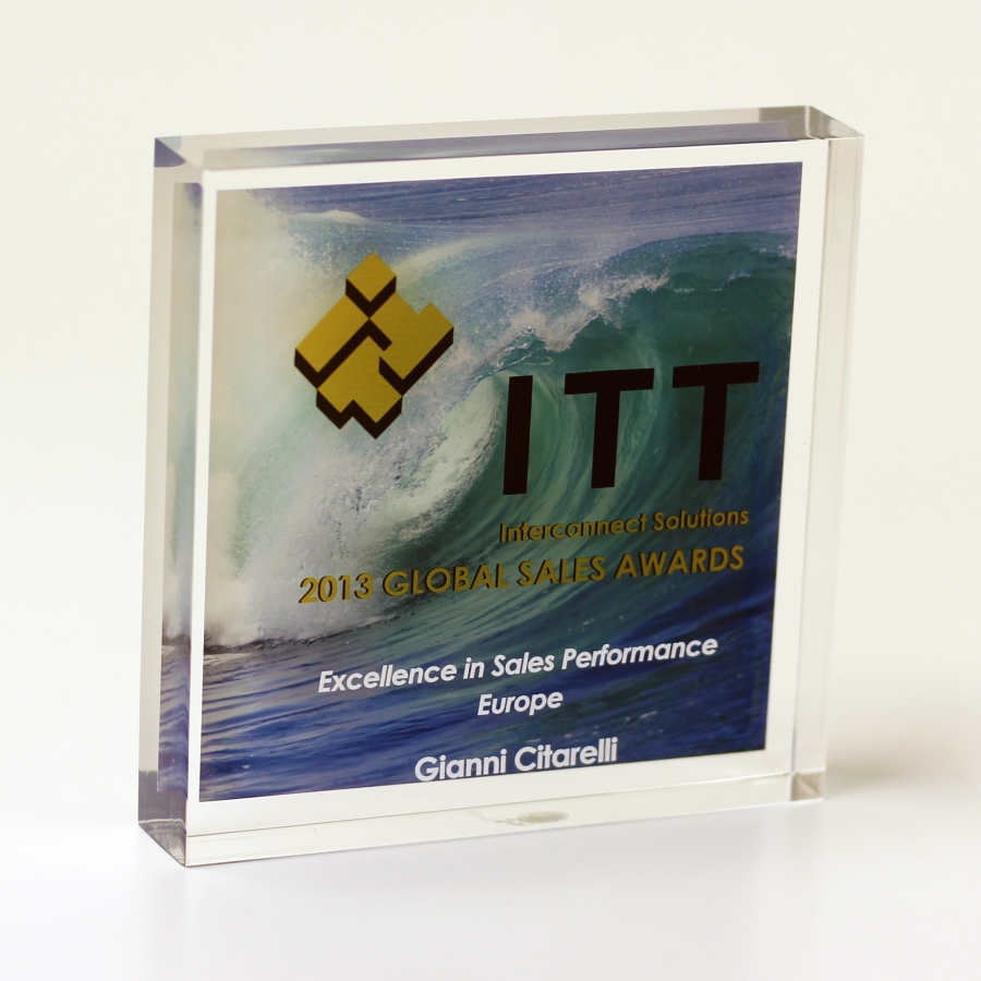 Embedment  Lucite square award trophy