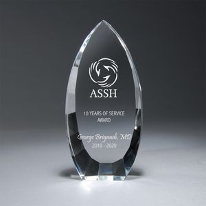 Awards, Crystal award, trophy, gift for recognition