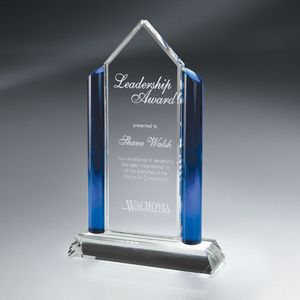 Awards, Crystal award, trophy, gift for recognition