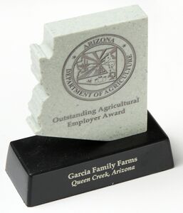 Awards, Marble award, trophy, gift for recognition